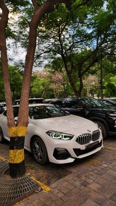 several cars parked next to each other in a parking lot with trees on both sides