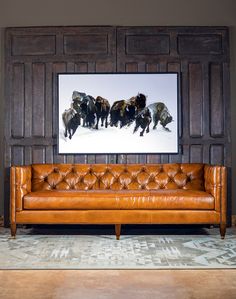 a leather couch sitting in front of a wooden paneled wall with bison pictures on it