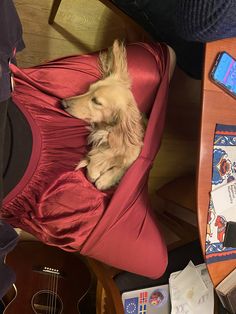 a small dog sitting on top of a red chair next to a wooden table and guitar