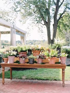 a wooden table topped with lots of potted plants