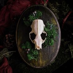 a cow's skull is surrounded by greenery and pine cones