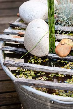 some rocks and plants are sitting in a row boat on the water with lily pads