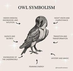 an owl is labeled in the diagram above it's name and its meaningss