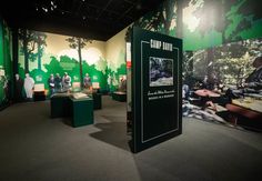 an exhibit room with green and black walls