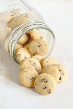 mini chocolate chip cookies in a jar with text overlay that reads mini chocolate chip cookies