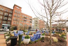 there are many blue chairs in the park