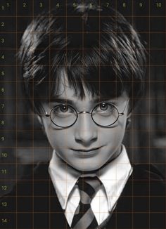 a black and white photo of harry potter with glasses on it's face in front of a grid pattern