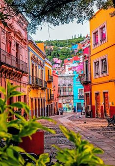 an empty street with colorful buildings and trees