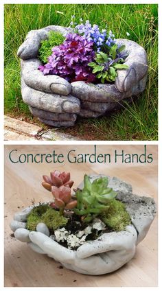 two pictures with different plants in them and the words concrete garden hands on top of it