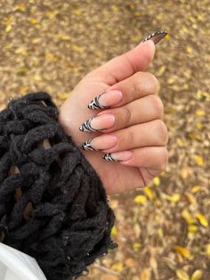 Zebra black and white nails long almond shaped nails Zebra French Tip Nails Almond, Black And White Zebra Nails, Zebra Print Almond Nails, Almond Zebra Nails, Long Almond Shaped Nails Designs, Zebra Almond Nails, Black And White Nails Almond, Zebra Tip Nails, Zebra Print French Tip Nails