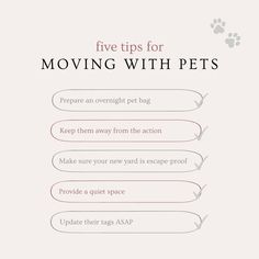 the five tips for moving with pets in order to keep them safe from their owner