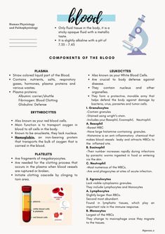 the contents of a blood test sheet