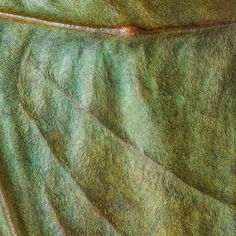 a close up view of a green cloth with some brown lines on the fabric and it's surface