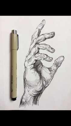 a pencil drawing of a hand holding something