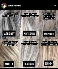 Redken Shades Ash Blonde Formula, Bleach Toner Blonde Hair, Redken Shades Eq Formulas 9aa, Redken Shades Eq 09p Opal Glow, Champagne Blonde Redken Formulas, High And Low Lights Hair Grey, Smokey Silver Hair Color, Paul Mitchell Demi Formulas, Platinum Redken Formula