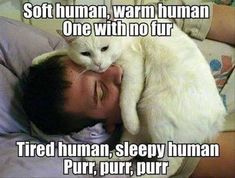 a man laying in bed with a white cat on his shoulder and caption that reads, soft human, warm human one with no fur tired human, sleepy human pur