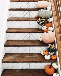 some pumpkins and gourds are sitting on the stair treading in this house