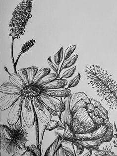 a black and white drawing of some flowers