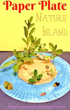 paper plate nature island made with leaves and rocks