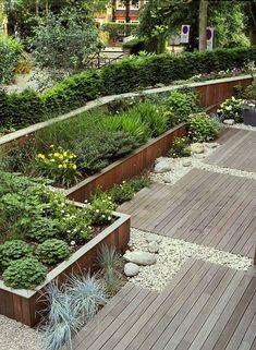 an outdoor garden with wooden decking and various plants in the center, surrounded by rocks and gravel