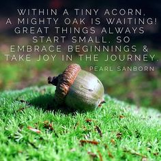 an acorn sitting on top of green grass with a quote from pearl sanborn