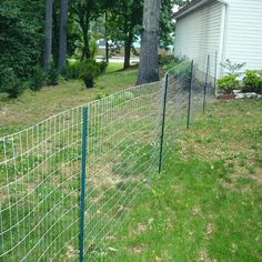 a green wire fence in front of a white house with trees on the other side