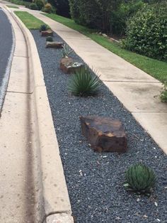 some rocks and plants on the side of a road