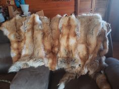 Professionally tanned red fox pelts with tails attached sewn into a beautiful, soft, warm and snuggly throw.  Perfect for the back of the sofa. Pull it down to warm up on a cool night.  The back is lined with fleece. Handmade and completely unique. Fur Pelt, Cool Night, Fur Throw, Faux Fur Throw, Red Fox, Fox Fur, Blankets & Throws, Faux Fur, Fox