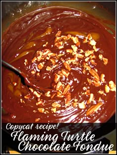 a chocolate dessert with nuts in it and the words copypaat recipe hanging turtle chocolate fondue