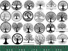 the tree of life svg bundle