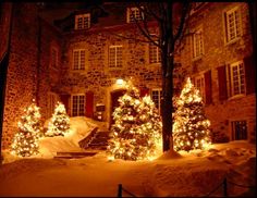 christmas trees are lit up in front of an old stone building with red shutters