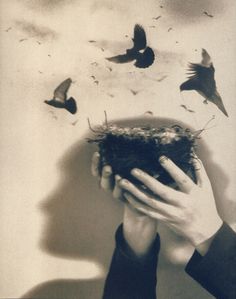 two hands are holding a nest with birds flying around it in black and white photo