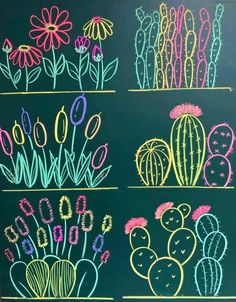 chalk drawings of cactuses and flowers on a blackboard