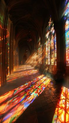 sunlight streams through stained glass windows in a cathedral