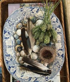 a blue and white plate topped with feathers, shells and other things on top of it