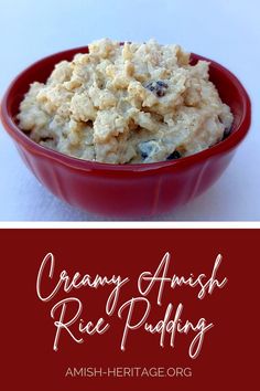 Dish of rice pudding with raisins Waldorf Recipes, Recipes In A Mug, Microwave Chocolate Pudding, Amish Desserts, Pudding In A Mug