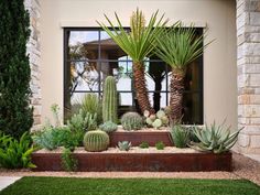 an outdoor garden with cactus, cacti and succulents in front of a house