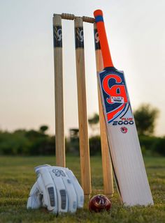 two cricket bats and a ball in the grass