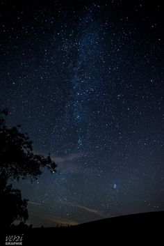 the night sky is filled with stars and some trees in front of it on a hill