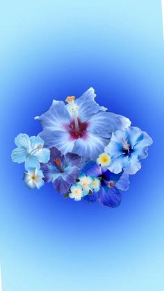 blue and white flowers against a light blue background