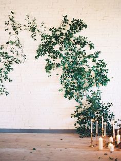 candles and greenery in front of a white brick wall with green leaves on it