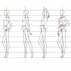 a line drawing of different female body shapes