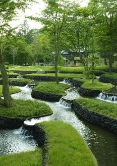 a small stream running through a lush green park