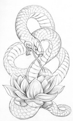 a drawing of a snake on top of a flower