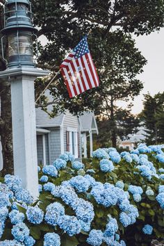 the american flag is hanging on a light post next to blue hydrangeas in front of a house