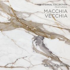 the cover art for machcha vecchina's new album, the eternal collection