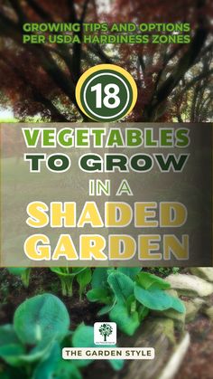 Explore cool-season and warm-season shade-tolerant vegetables based on your USDA Hardiness Zone. From leafy greens bursting with nutrients to hearty root crops and cold-hardy brassicas, these 18 shade-tolerant vegetables unlock a world of shade garden possibilities no matter how much or how little sun graces your patch of land. Get your gardening guidance at TheGardenStyle.com  #vegetablegarden #shadegarden Seed Starting Calendar, Hardening Off Seedlings, Shaded Garden, Seed Starters, Vegetables To Grow, Gardening Guide, Seed Starting Mix, Carrot Greens, Starting Seeds Indoors