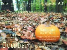 Occult Knowledge, Blessed Samhain, Fall Family Fun