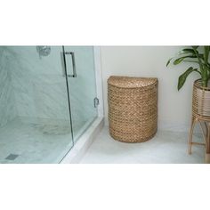 a basket sitting next to a shower in a bathroom with a plant on the floor