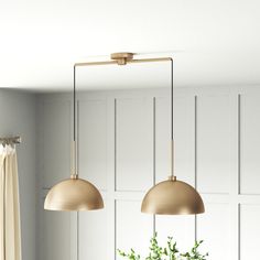 two brass pendant lights hang over a dining room table with a potted plant on it